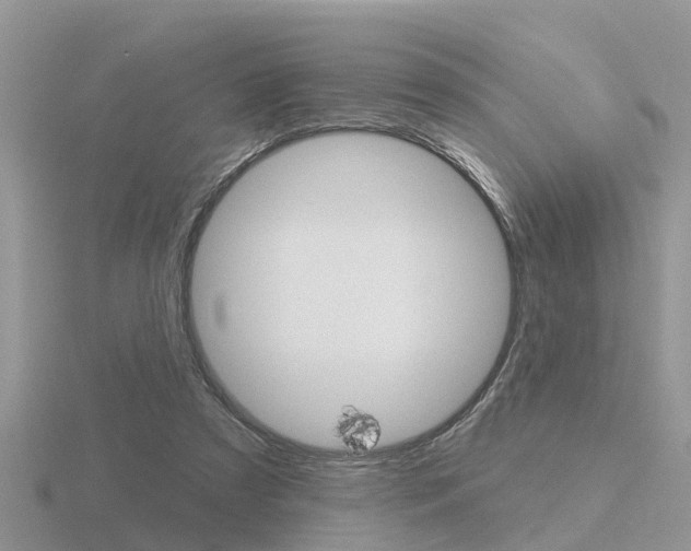 X0000116650305200912141011