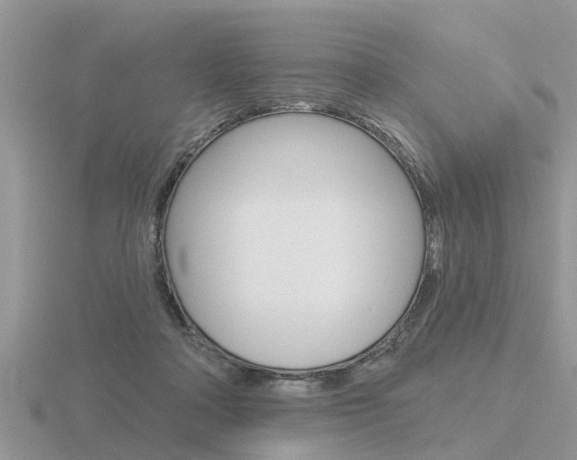 X0000116650314200912141011