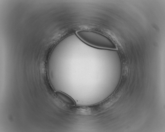 X0000116650317200912141011