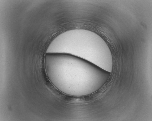 X0000116650319200912141011