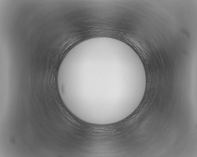 X0000116650325200912141011