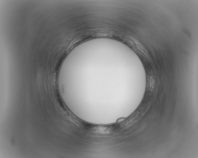 X0000116650326200912141011