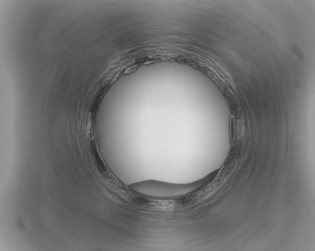 X0000116650328200912141011