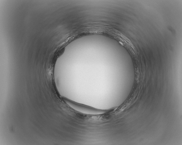 X0000116650329200912141011