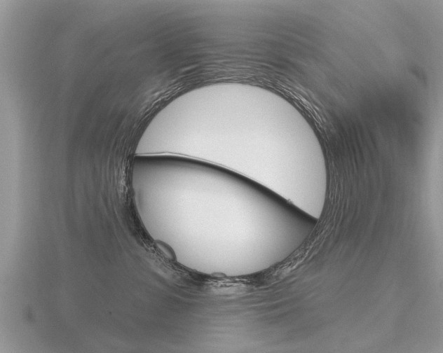X0000116650331200912141011