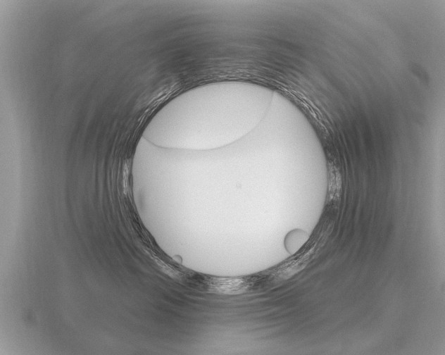 X0000116650334200912141011