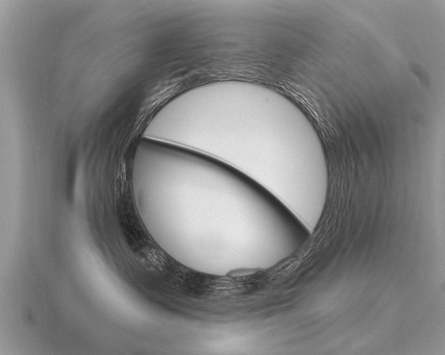 X0000116650335200912141011