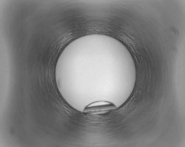 X0000116650336200912141011