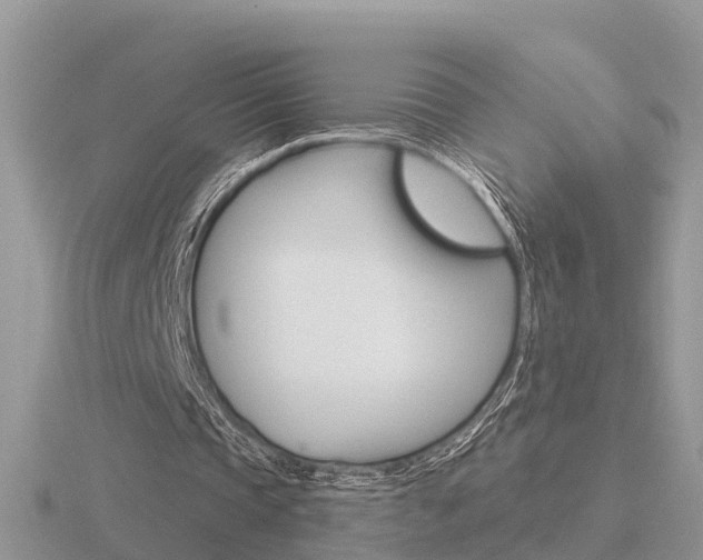 X0000116650337200912141010