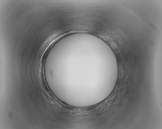 X0000116650338200912141010
