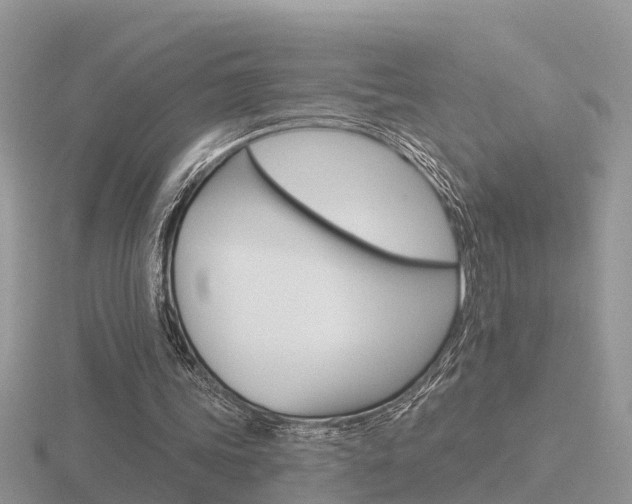 X0000116650339200912141010