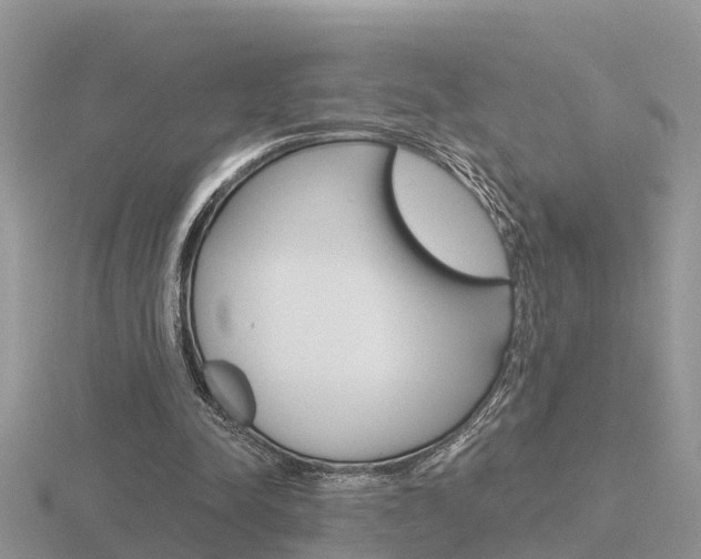 X0000116650342200912141010