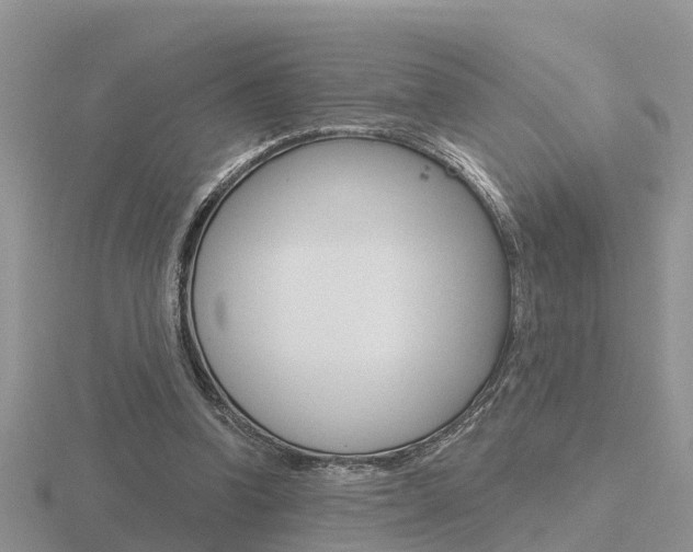 X0000116650346200912141010