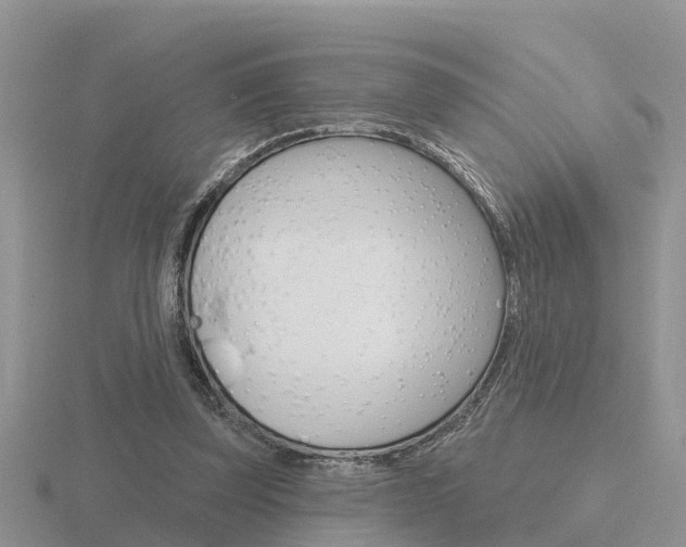 X0000116650347200912141011