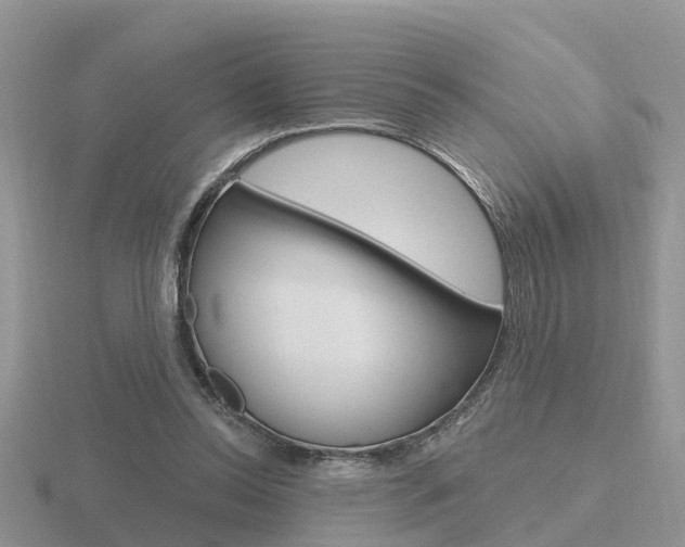 X0000116650350200912141011