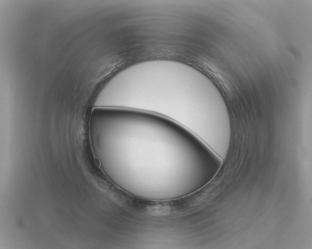X0000116650362200912141011