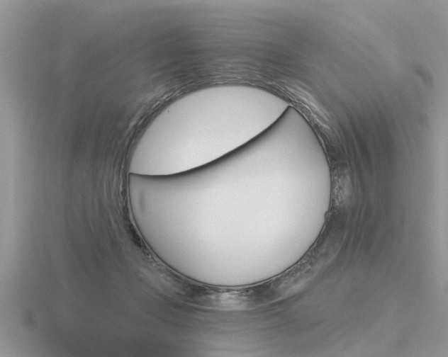 X0000116650365200912141011