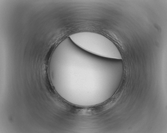 X0000116650366200912141011