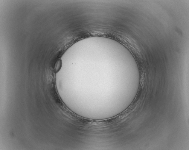 X0000116650367200912141011
