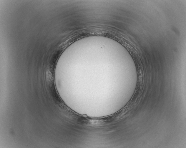 X0000116650371200912141011