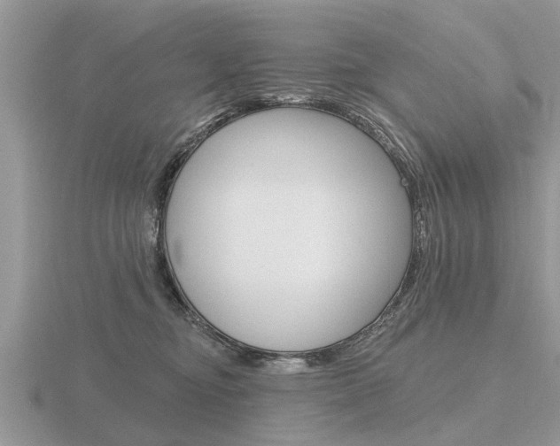 X0000116650374200912141011