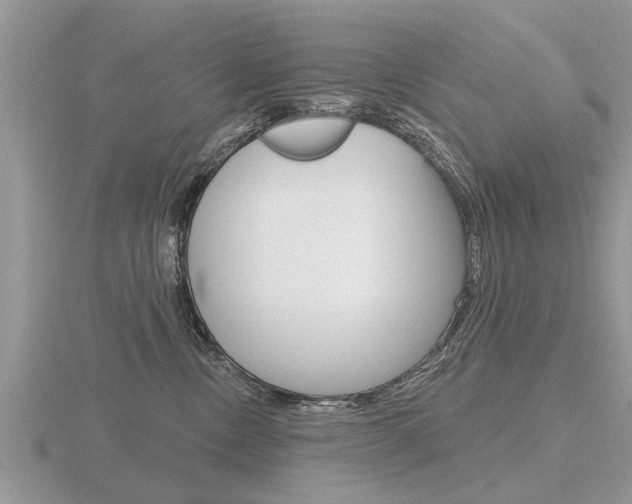 X0000116650378200912141011
