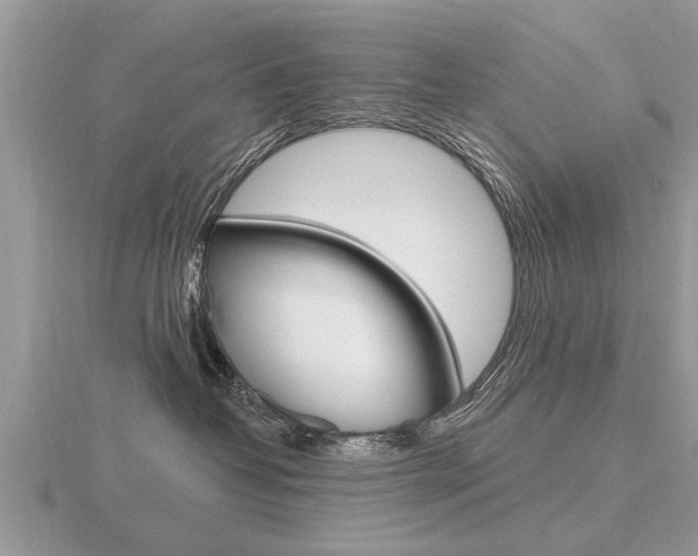 X0000116650382200912141011