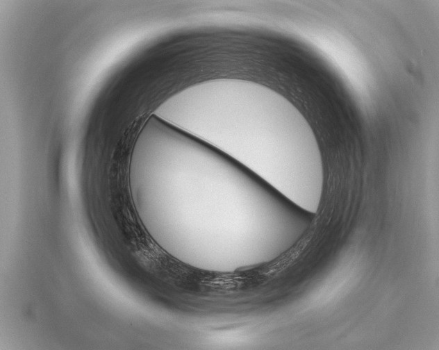 X0000116650383200912141011