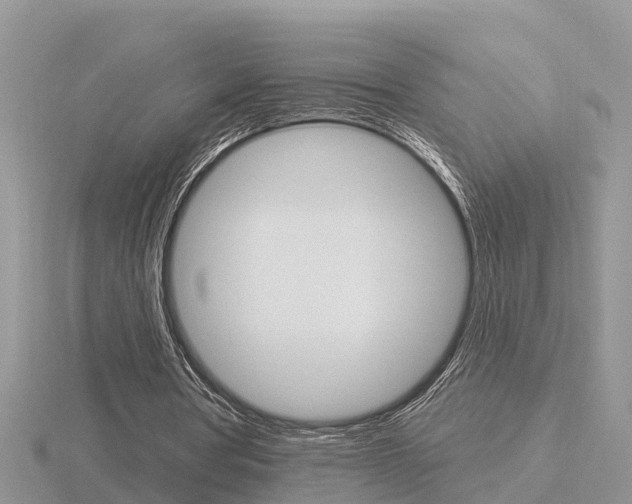 X0000116650386200912141010