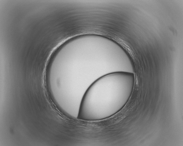 X0000116650388200912141010