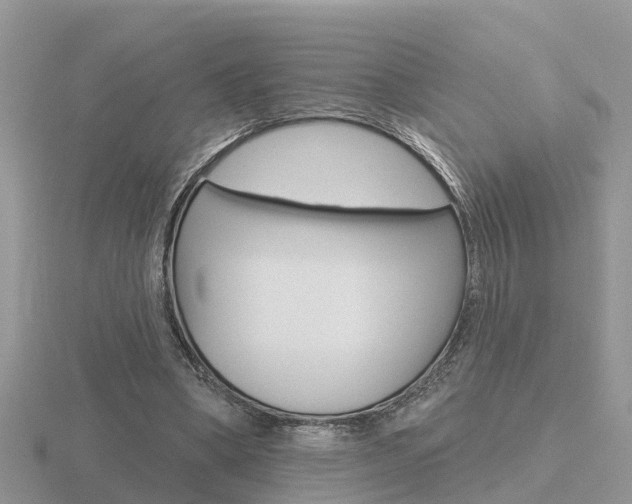 X0000116650394200912141010