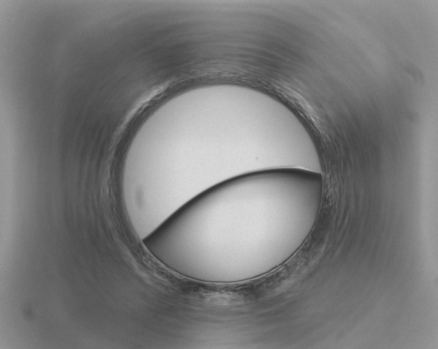 X0000116650400200912141010