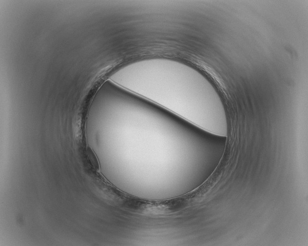 X0000116650403200912141010