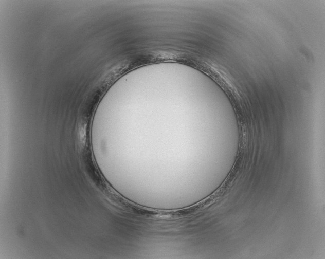 X0000116650406200912141010