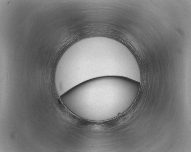 X0000116650412200912141010