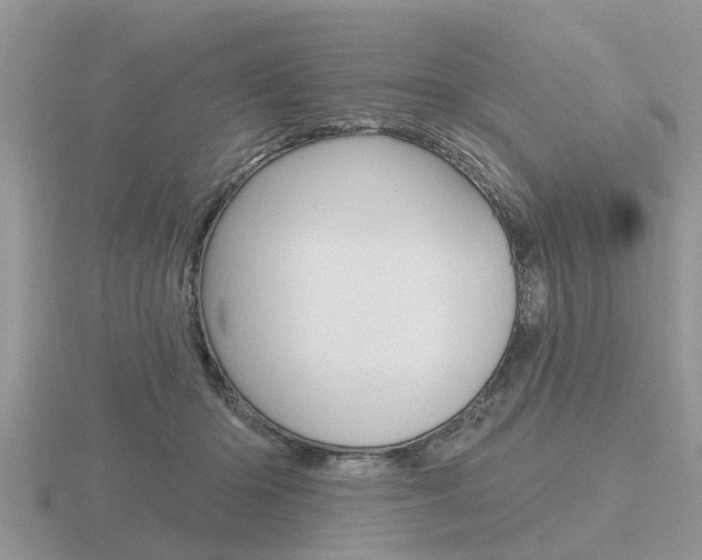 X0000116650414200912141010