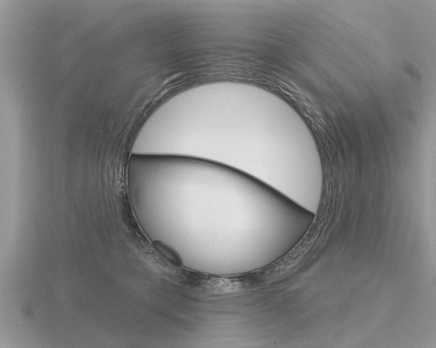 X0000116650421200912141010