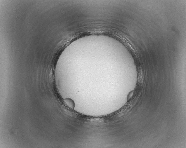 X0000116650426200912141010