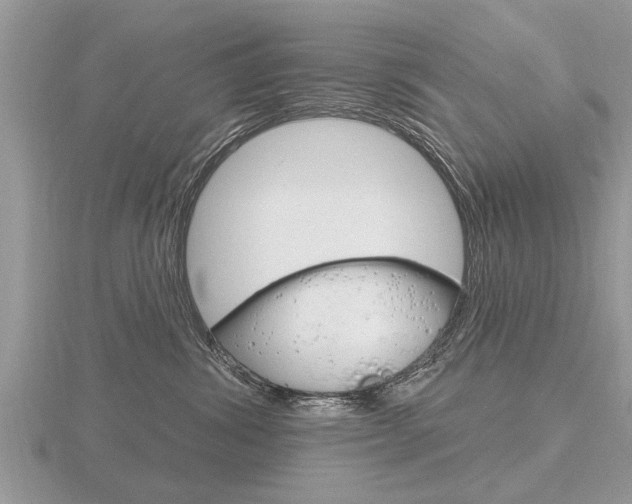 X0000116650428200912141010