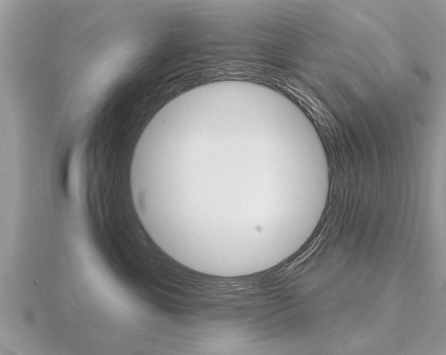 X0000116650429200912141010