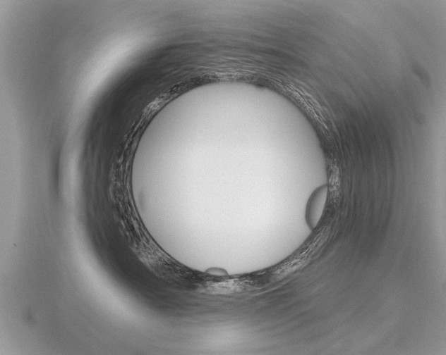 X0000116650430200912141010
