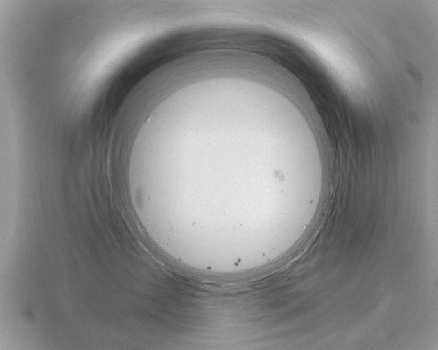X0000116650431200912141010