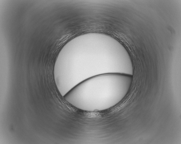 X0000116650432200912141010