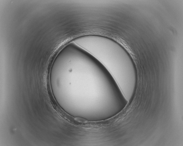 X0000116650434200912141009
