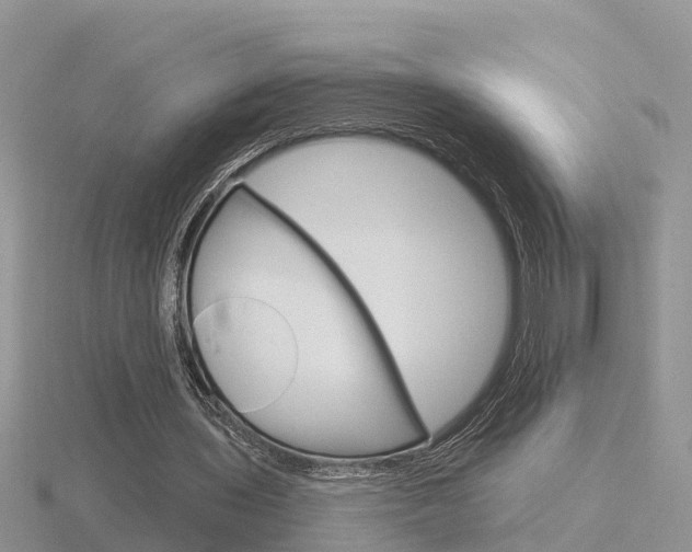 X0000116650435200912141009