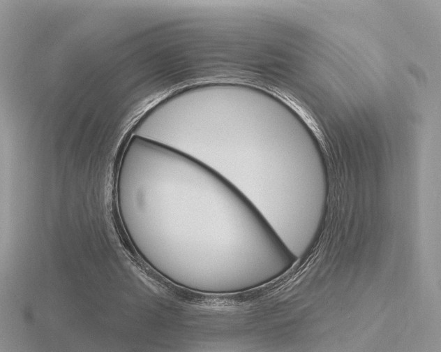 X0000116650437200912141009
