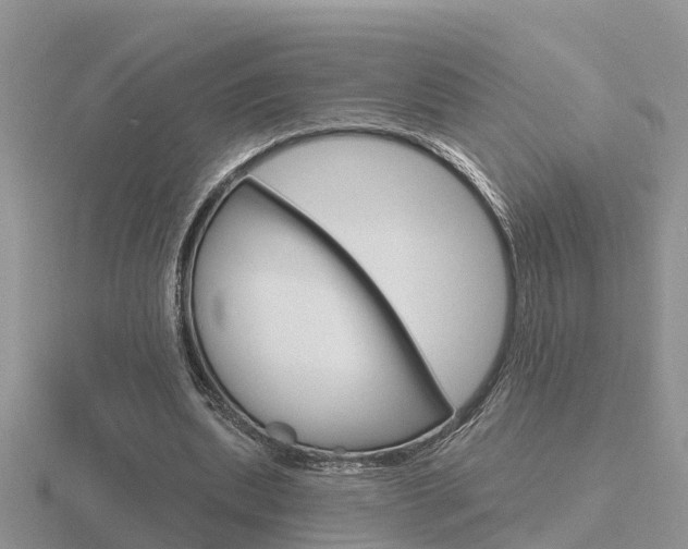 X0000116650439200912141009