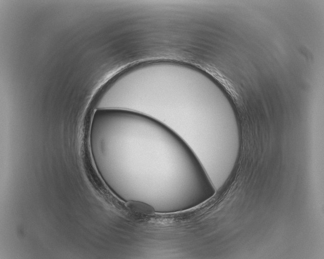 X0000116650440200912141009