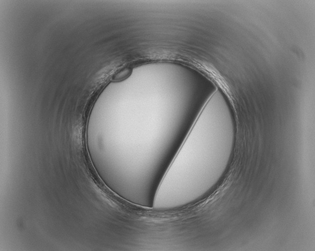 X0000116650441200912141009