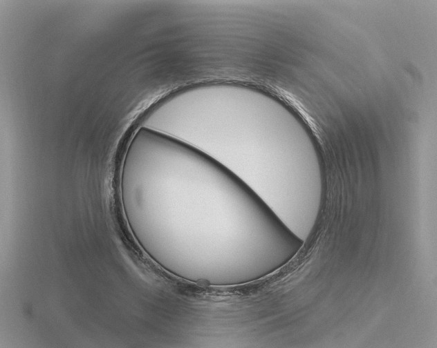 X0000116650443200912141009